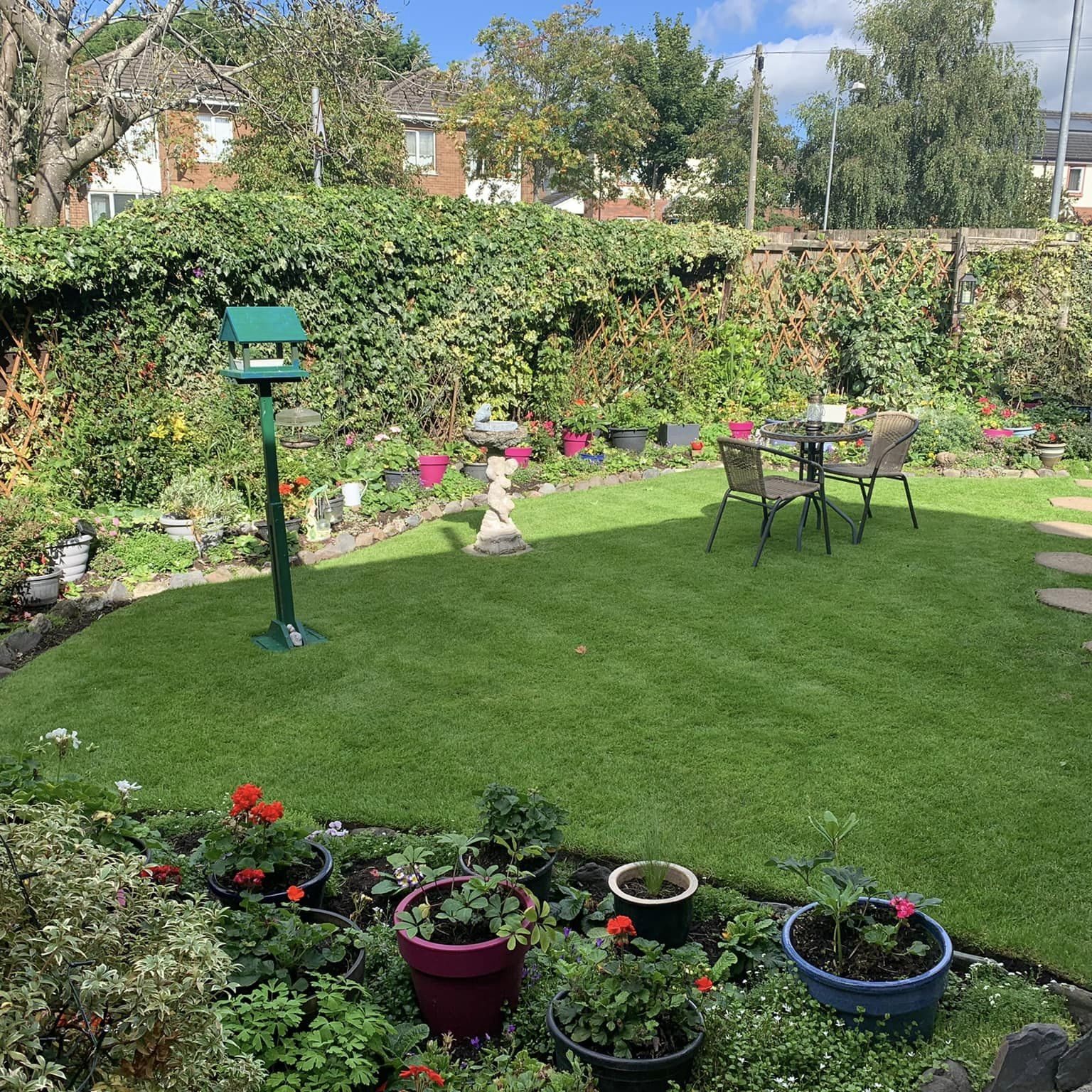 Back garden in the shade